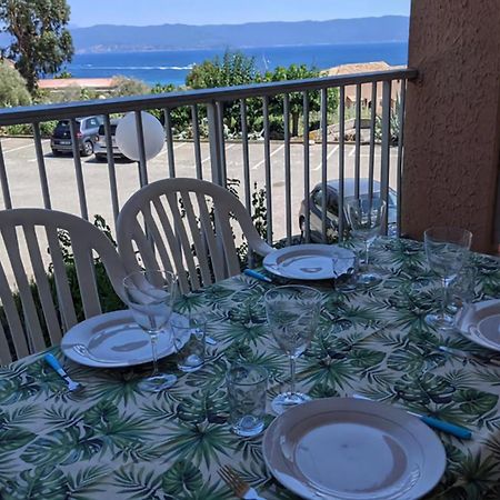 Studio 4 Pers Terrasse Vue Mer 阿雅克肖 外观 照片